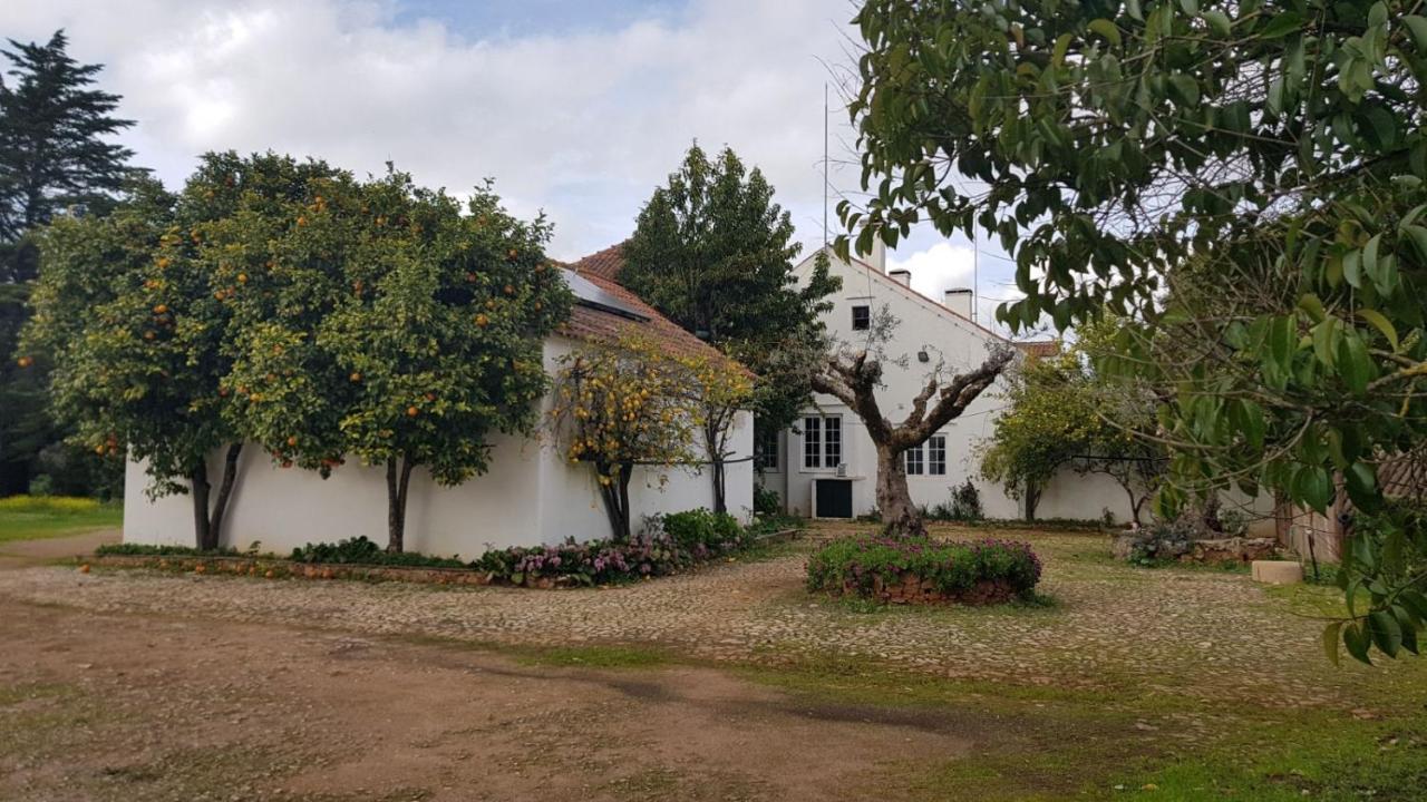 Hotel Quinta Do Cacador Estremoz Zewnętrze zdjęcie